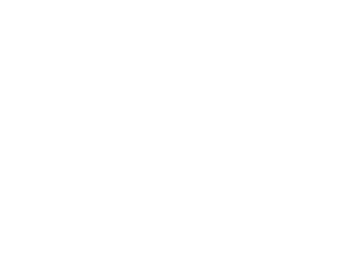 fish icon