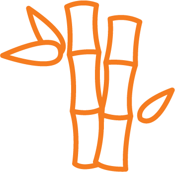bamboo icon