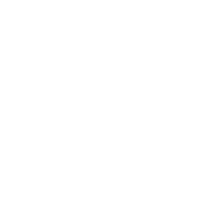 coconut drink icon
