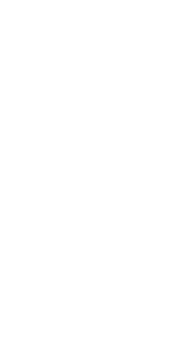 pineapple icon